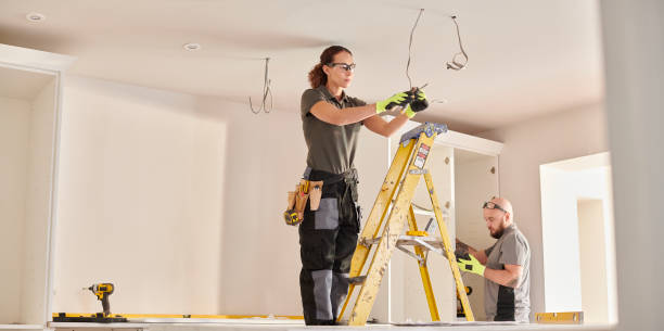 Best Outdoor Lighting Installation  in Riverview, MI