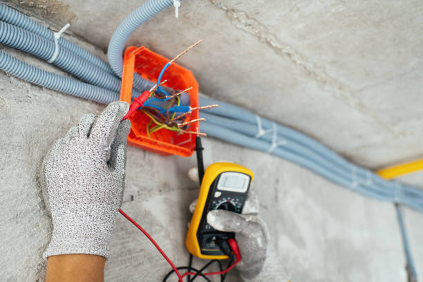 Best Electrical Rewiring Services  in Riverview, MI